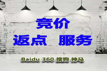 SEM广告投放的精准定位与优化案例